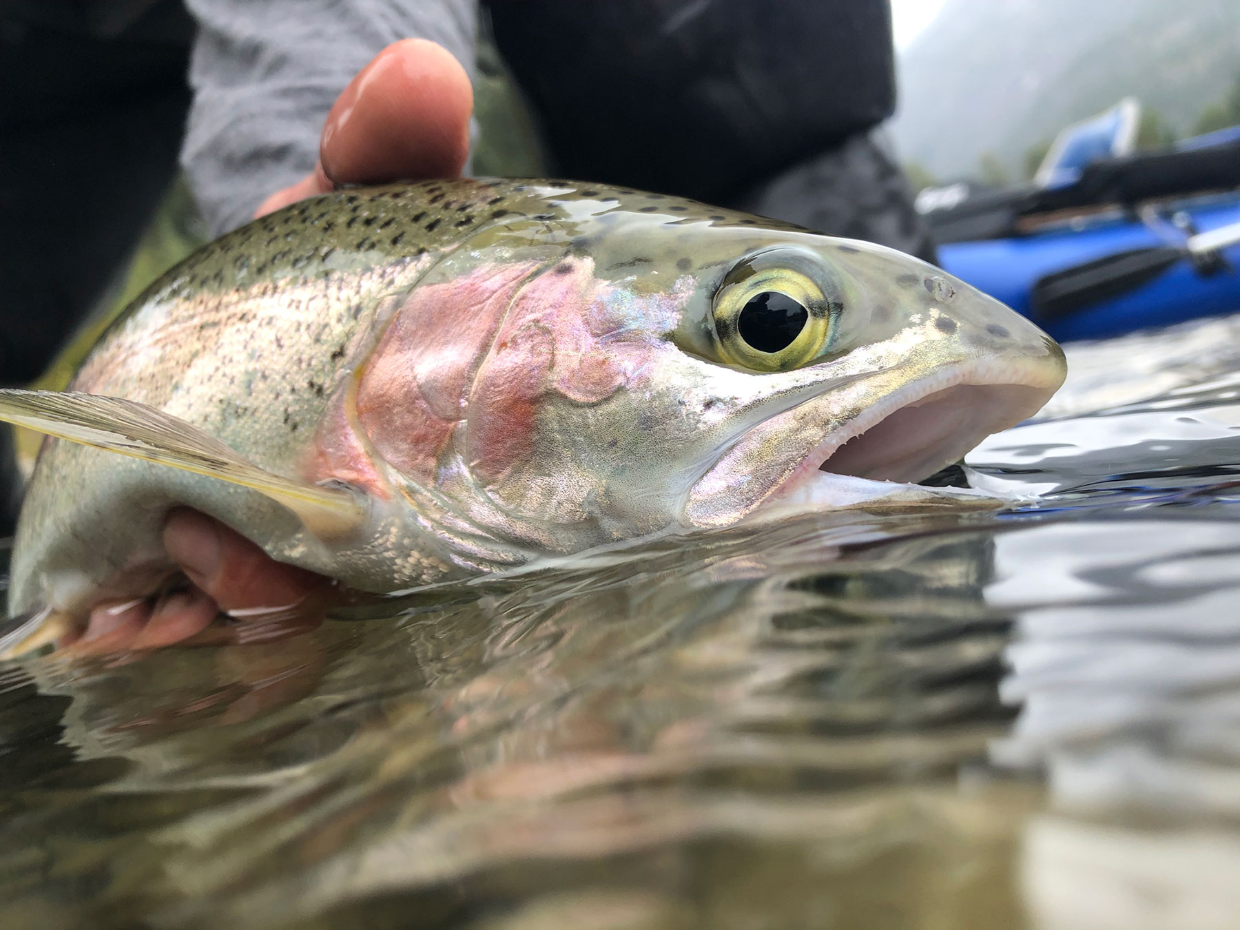 Stehekin Fishing Adventures